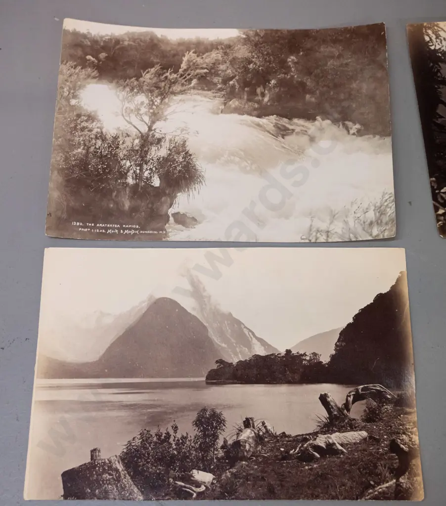 7 vintage photographs, one is double sided - Buller Gorge, Wet Jacket Arm, Lake Moa Milford Sound, etc. Image 1++