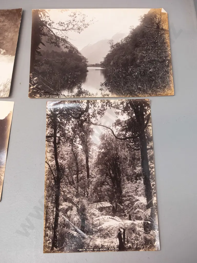 7 vintage photographs, one is double sided - Buller Gorge, Wet Jacket Arm, Lake Moa Milford Sound, etc. Image 1++