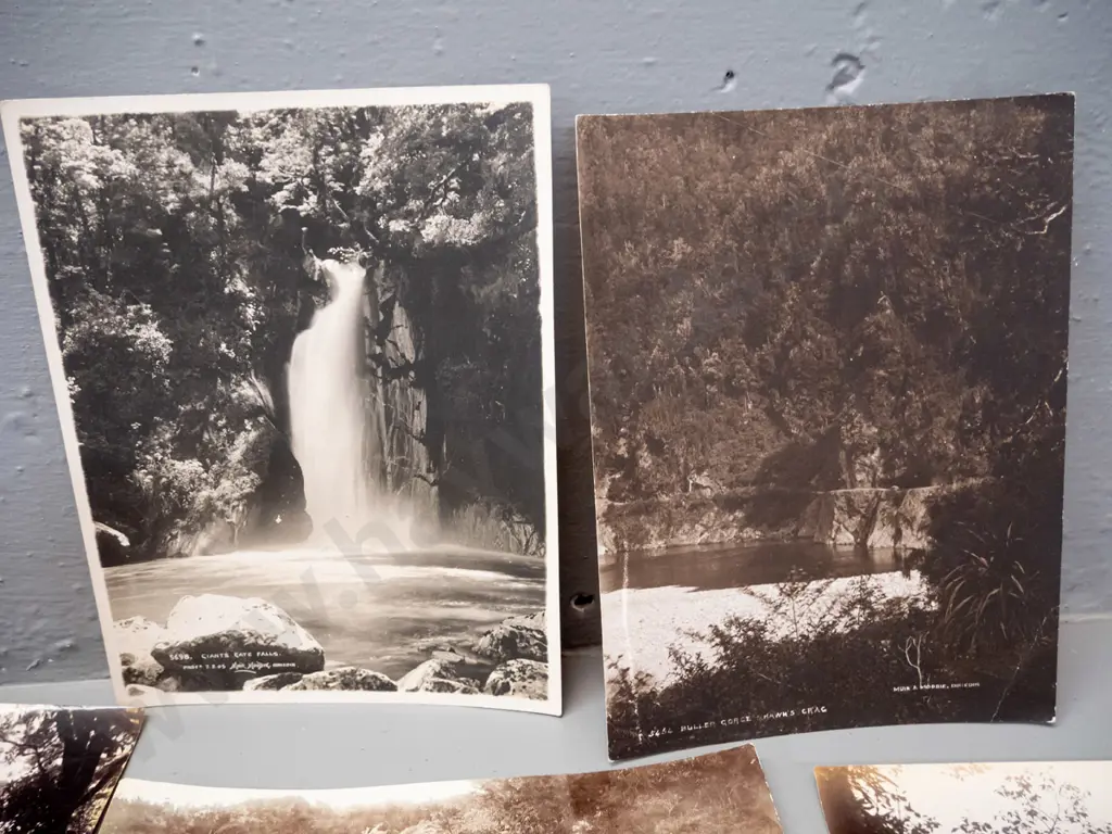 7 vintage photographs, one is double sided - Buller Gorge, Wet Jacket Arm, Lake Moa Milford Sound, etc. Image 1++
