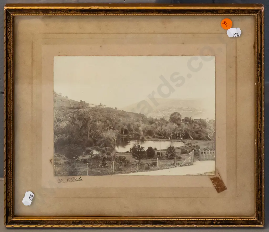 framed antique W.N. Blaikie photo of Dunedin botanic gardens - date unknown - foxing and tape marks, loose in frame Image 1++