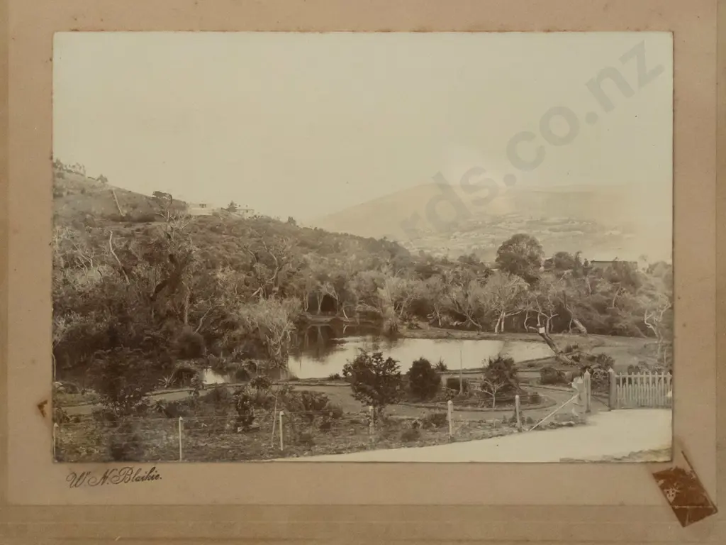 framed antique W.N. Blaikie photo of Dunedin botanic gardens - date unknown - foxing and tape marks, loose in frame Image 1++