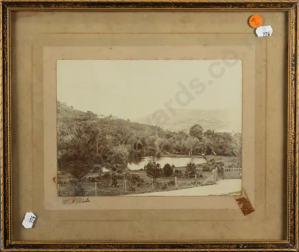 framed antique W.N. Blaikie photo of Dunedin botanic gardens - date unknown - foxing and tape marks, loose in frame Image 1++