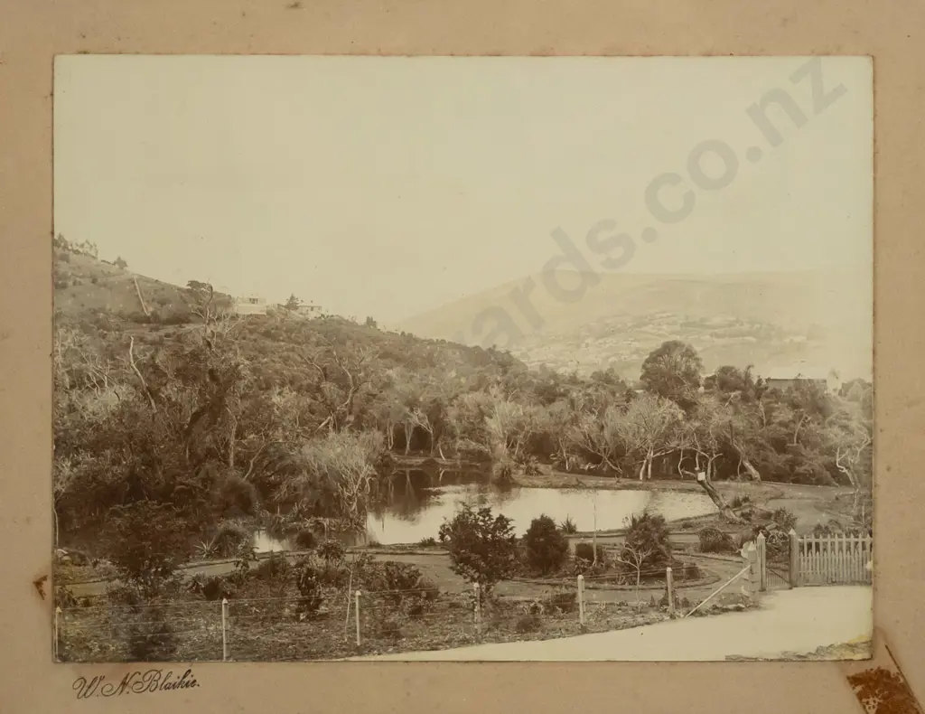 framed antique W.N. Blaikie photo of Dunedin botanic gardens - date unknown - foxing and tape marks, loose in frame Image 1++