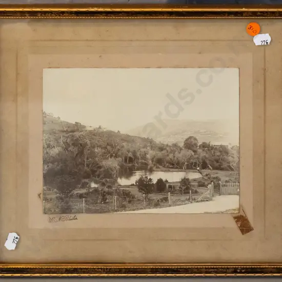 framed antique W.N. Blaikie photo of Dunedin botanic gardens - date unknown - foxing and tape marks, loose in frame