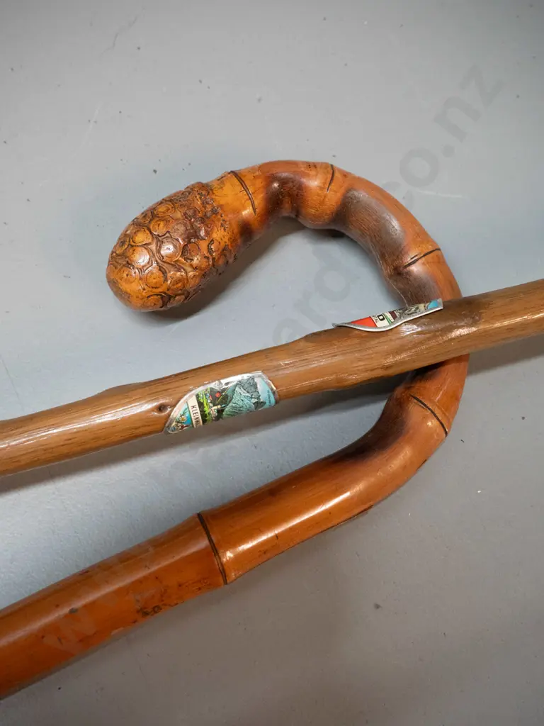 2 bentwood walking sticks - one with metal souvenir shields, other is bamboo L-845 Image 1++
