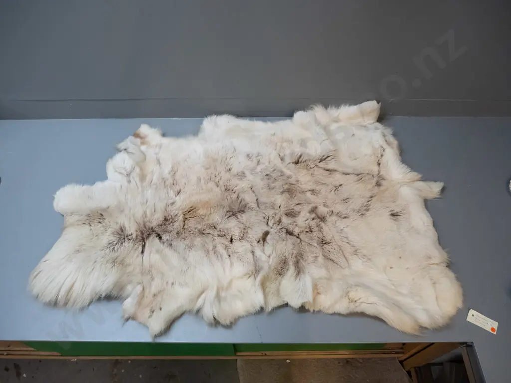reindeer pelt from Finland - shedding some hair, may have thin patches L-1370 W-900 Image 1++