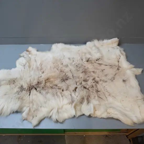 reindeer pelt from Finland - shedding some hair, may have thin patches L-1370 W-900