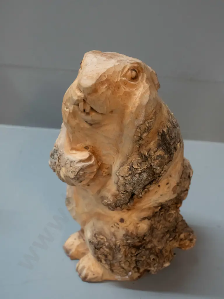 2 German rustic carved timber marmots or ground squirrels - standing one H-240, both marked Holzschnitzerei-Wurzelkunst Image 1++