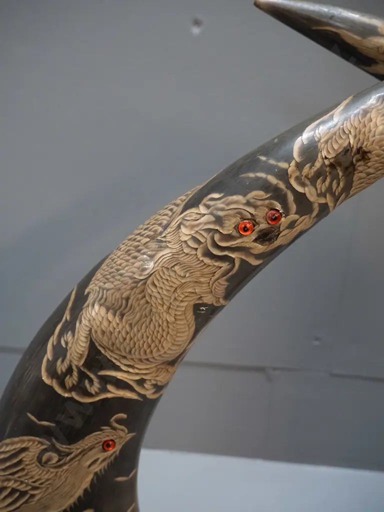 pair of carved horns on timber bases - dragon and peacock motifs with glass inset eyes, some chips to carved areas, one Image 1++