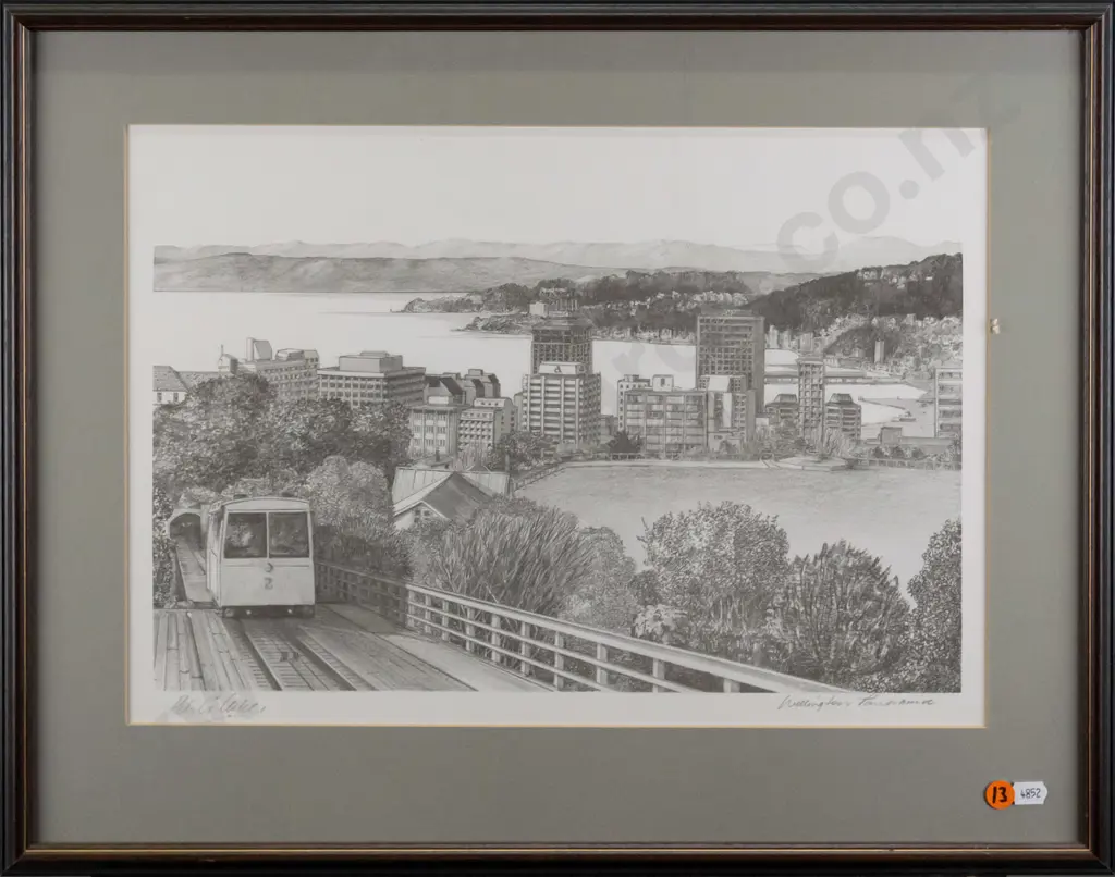 framed Peter G Leitch print "Wellington Panorama" H-270 W-390 Image 1++