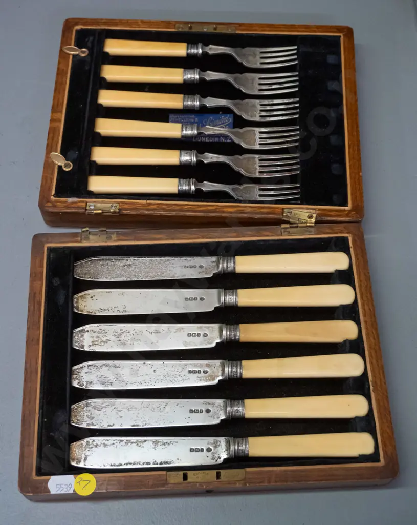 cased set of sterling silver bone-handled fish knives & forks - Dawsons Dunedin label inside. Case hinges are damaged, Image 1++