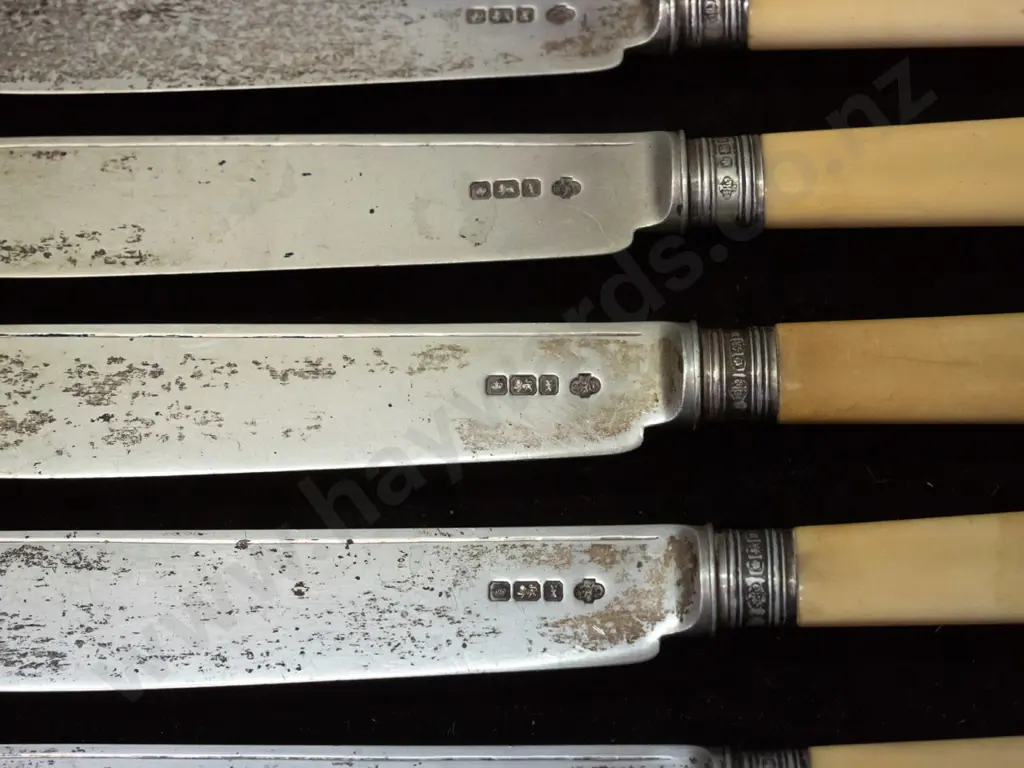 cased set of sterling silver bone-handled fish knives & forks - Dawsons Dunedin label inside. Case hinges are damaged, Image 1++