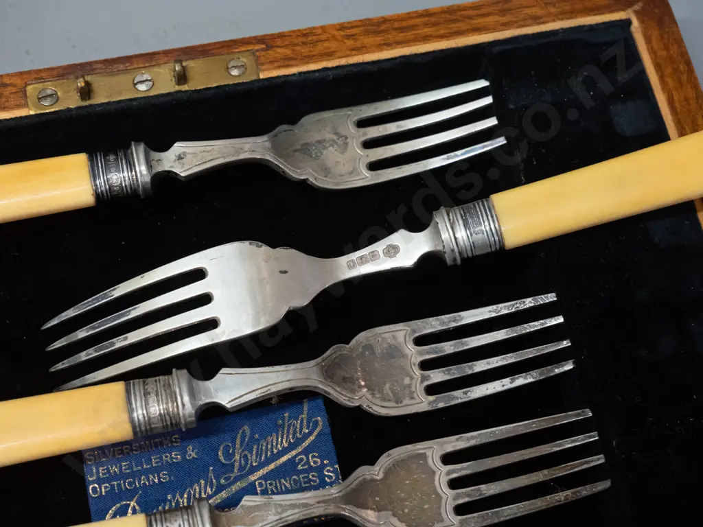 cased set of sterling silver bone-handled fish knives & forks - Dawsons Dunedin label inside. Case hinges are damaged, Image 1++