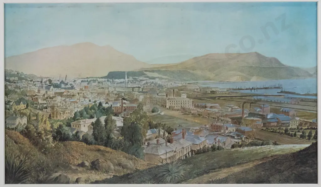 framed historic print - Dunedin 1888 H-220 W-370 (slight foxing) Image 1++