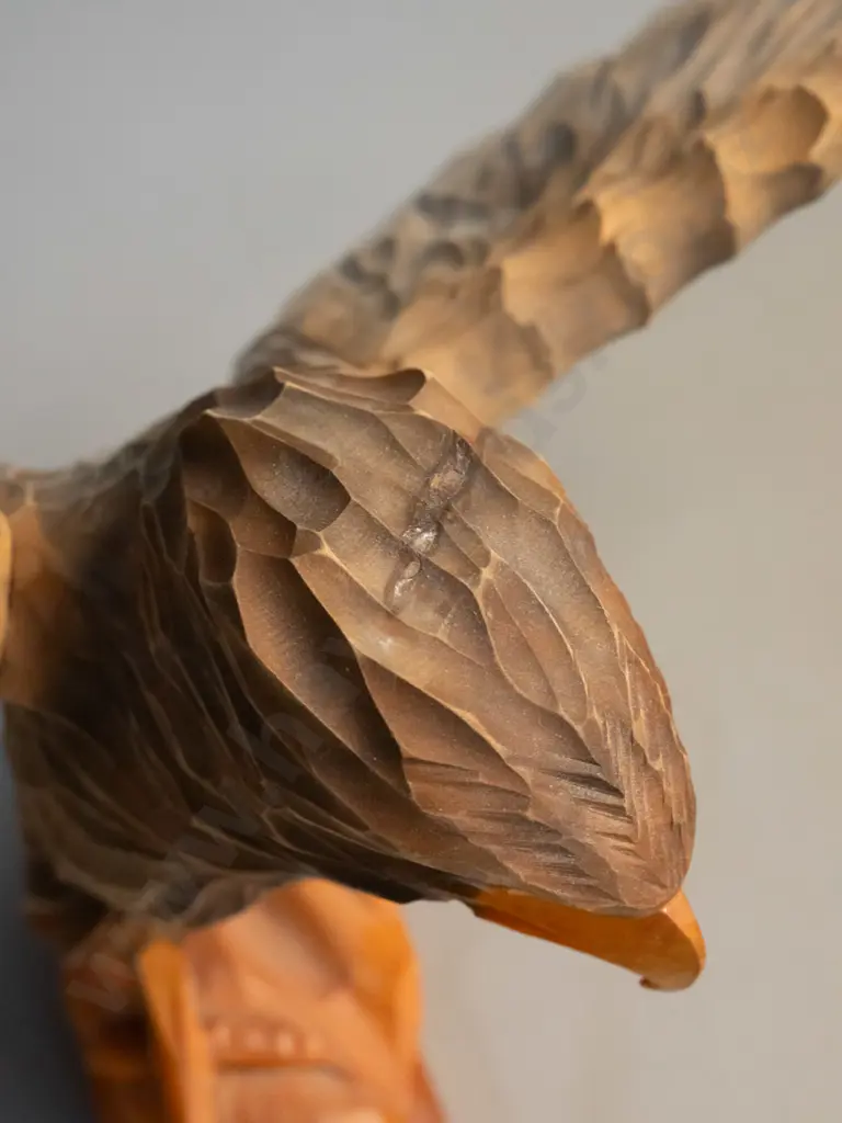 German carved timber eagle with detachable wings H-350 L-610 Image 1++