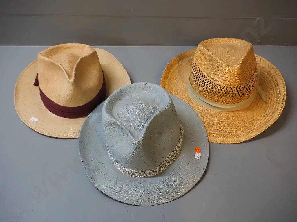 3 vintage men's hats - grey Wellesley Panama, Rexley Miami mesh and a straw hat, 2 marked size 6 & 3/4 Image 1++