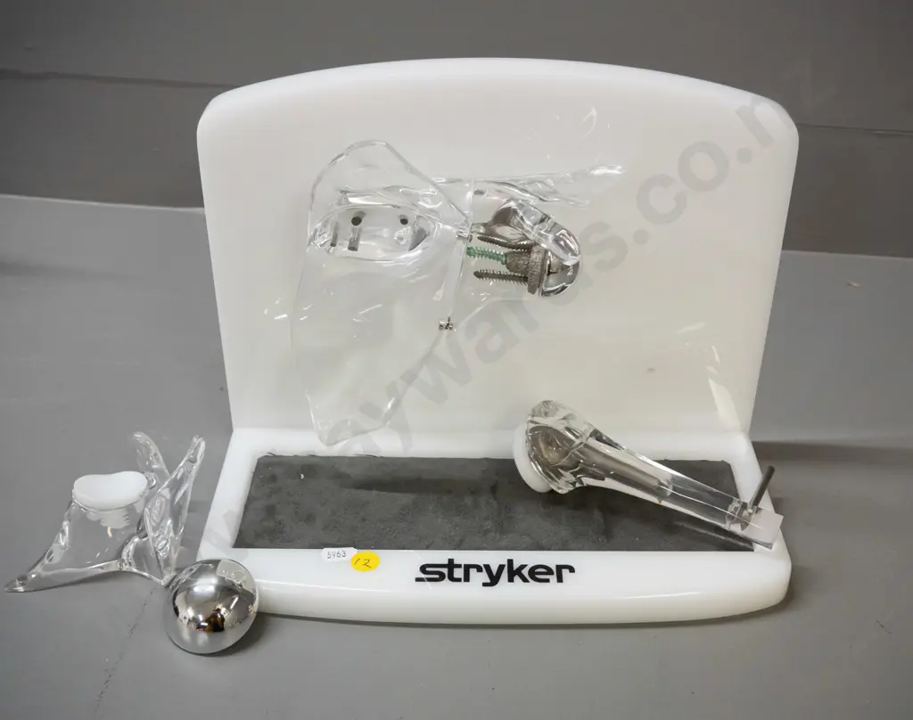 set of medical / anatomical joint models with display stand marked Stryker - plastic, perspex and metal, some with Image 1++