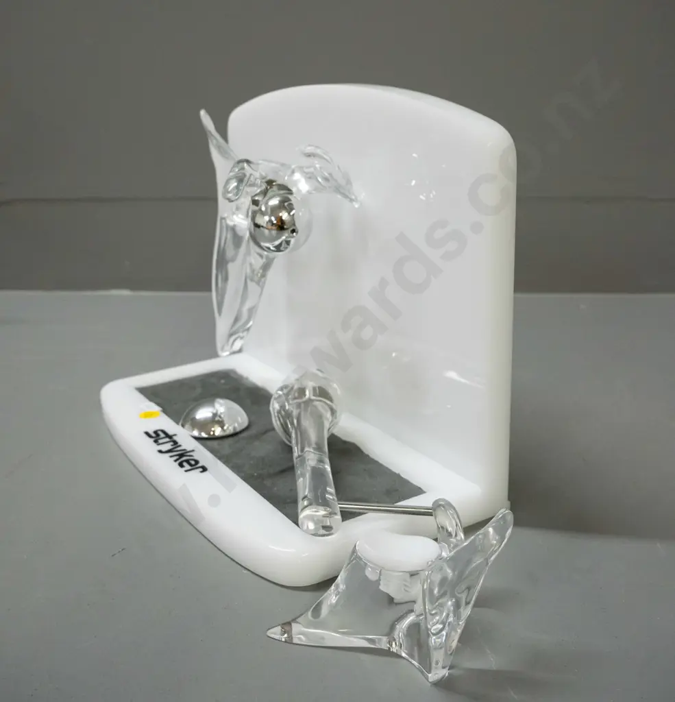 set of medical / anatomical joint models with display stand marked Stryker - plastic, perspex and metal, some with Image 1++
