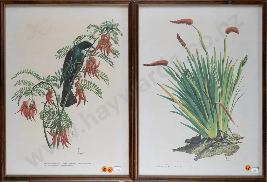 2x framed RH Cometti botanical prints Each H-430 W-310 (slight age marking) Image 1++