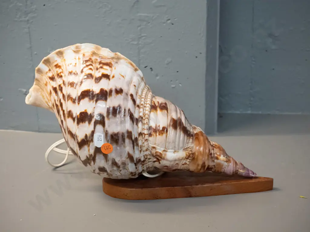 retro shell lamp with wooden base - has a chip to top edge H-200 L-310 Image 1++