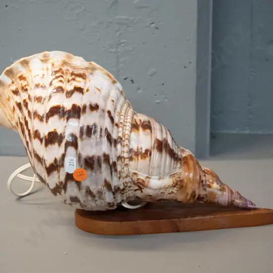 retro shell lamp with wooden base - has a chip to top edge H-200 L-310