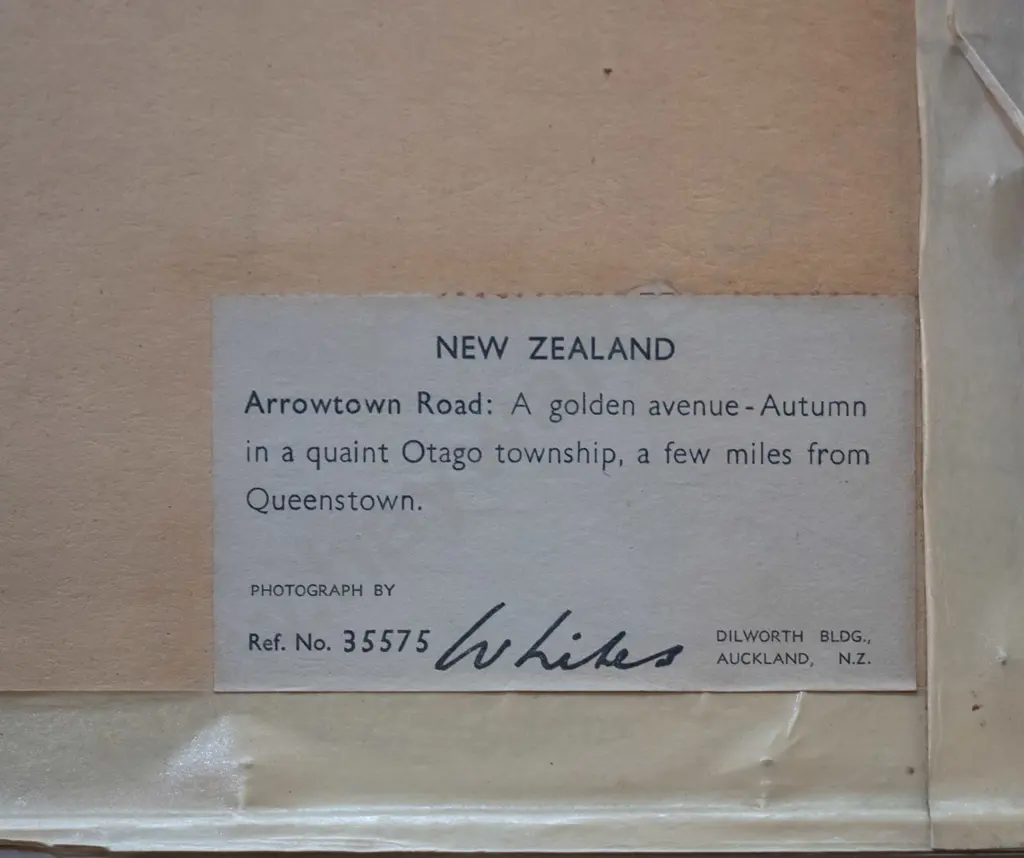 framed Whites Aviation hand coloured photograph "Arrowtown Road" H-280 W-360 Image 1++