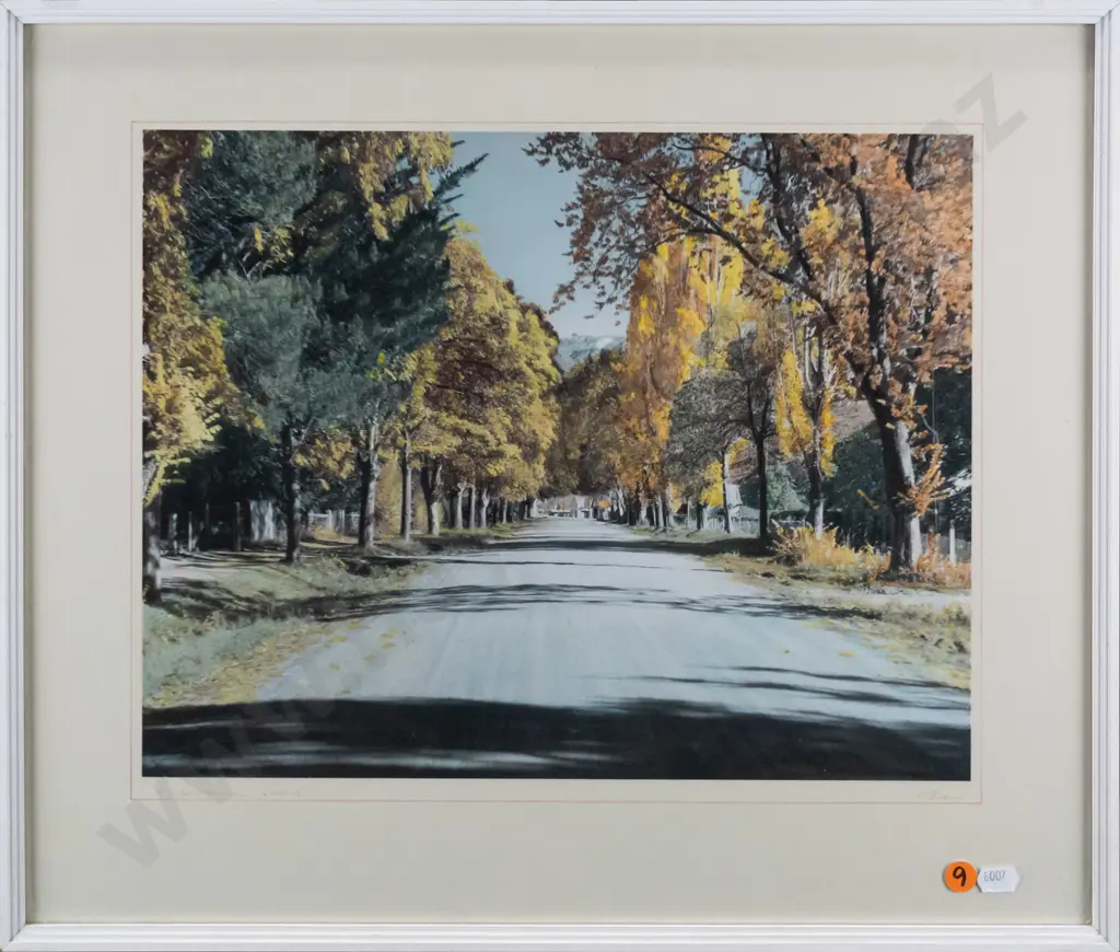 framed Whites Aviation hand coloured photograph "Arrowtown Road" H-280 W-360 Image 1++