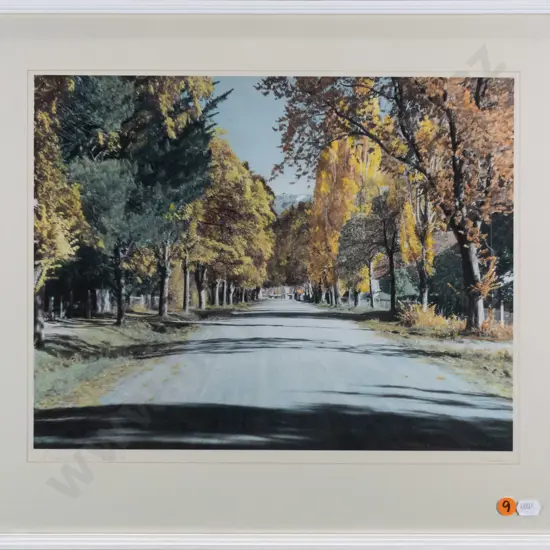 framed Whites Aviation hand coloured photograph "Arrowtown Road" H-280 W-360