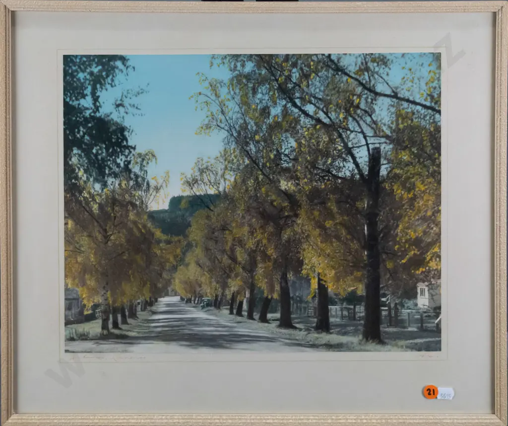 framed Whites Aviation hand coloured photograph "Autumn Lawrence" H-280 W-360 Image 1++
