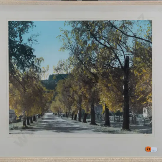 framed Whites Aviation hand coloured photograph "Autumn Lawrence" H-280 W-360