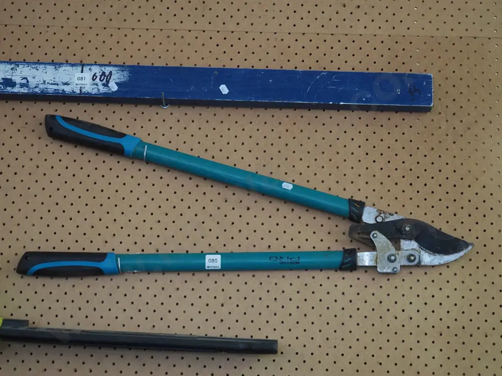 garden loppers Image 1++