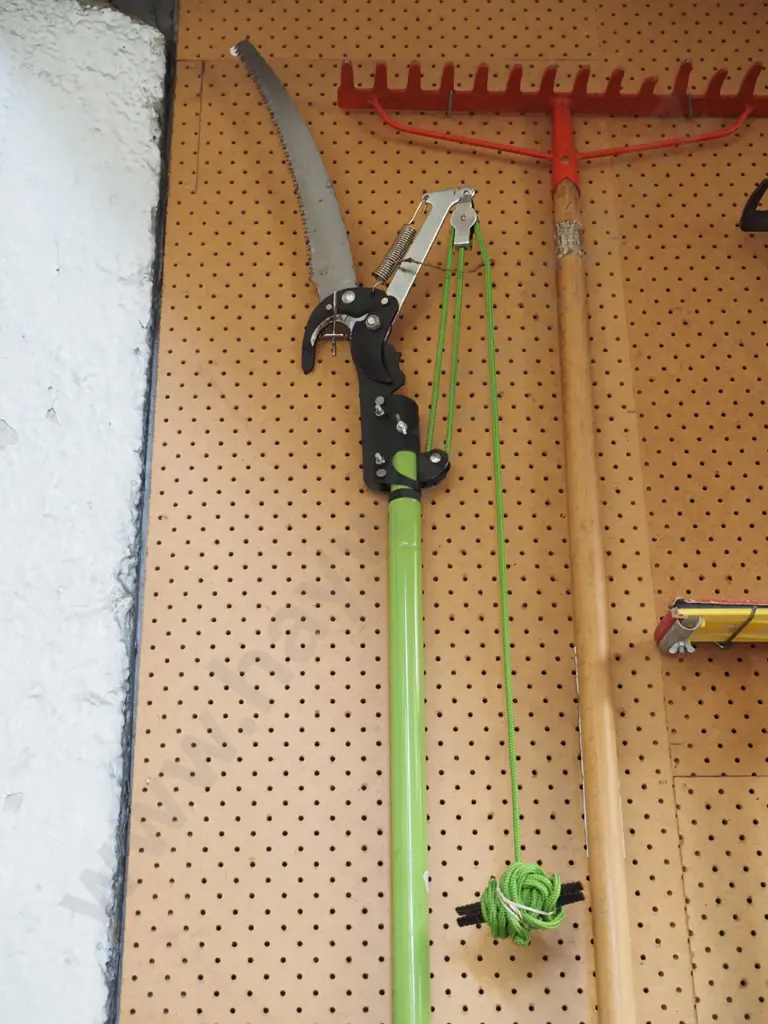 green handled pole pruner Image 1++