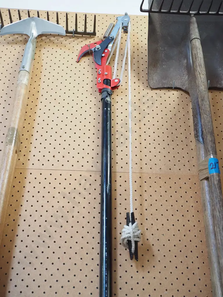 extending pole pruner Image 1++