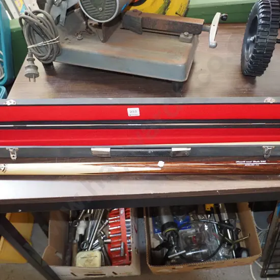 pool cue in case