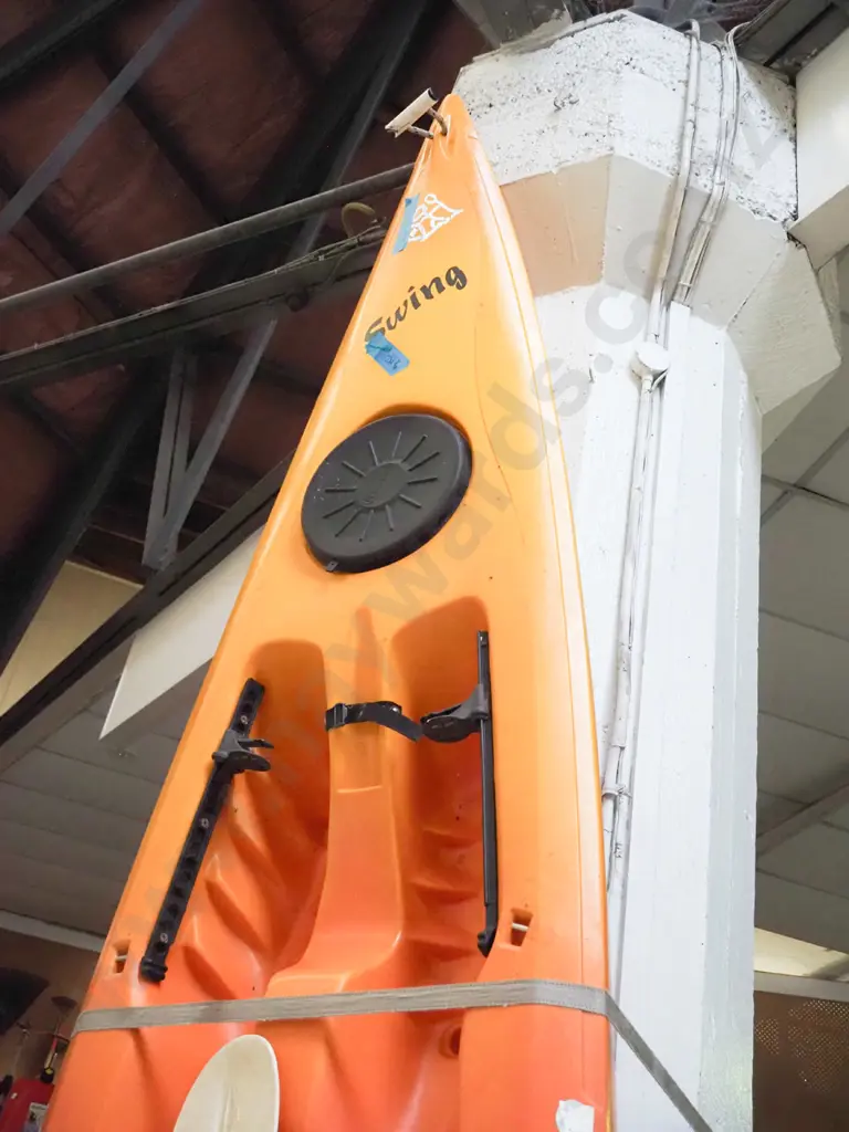 large Perception Kayaking plastic kayak with paddles Image 1++