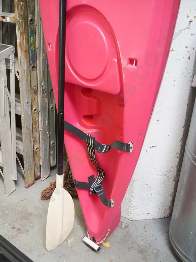 large Perception Kayaking plastic kayak with paddles Image 1++