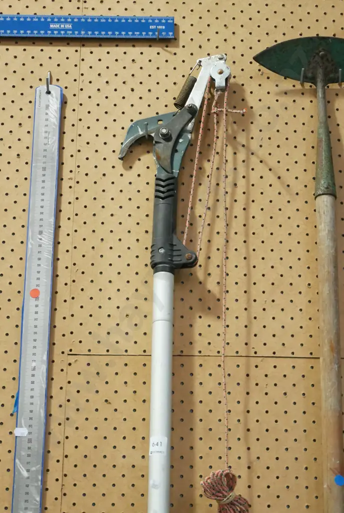 extending pole pruner Image 1++