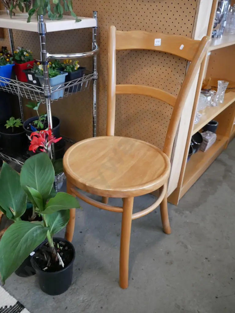 rimu dining chair Image 1++