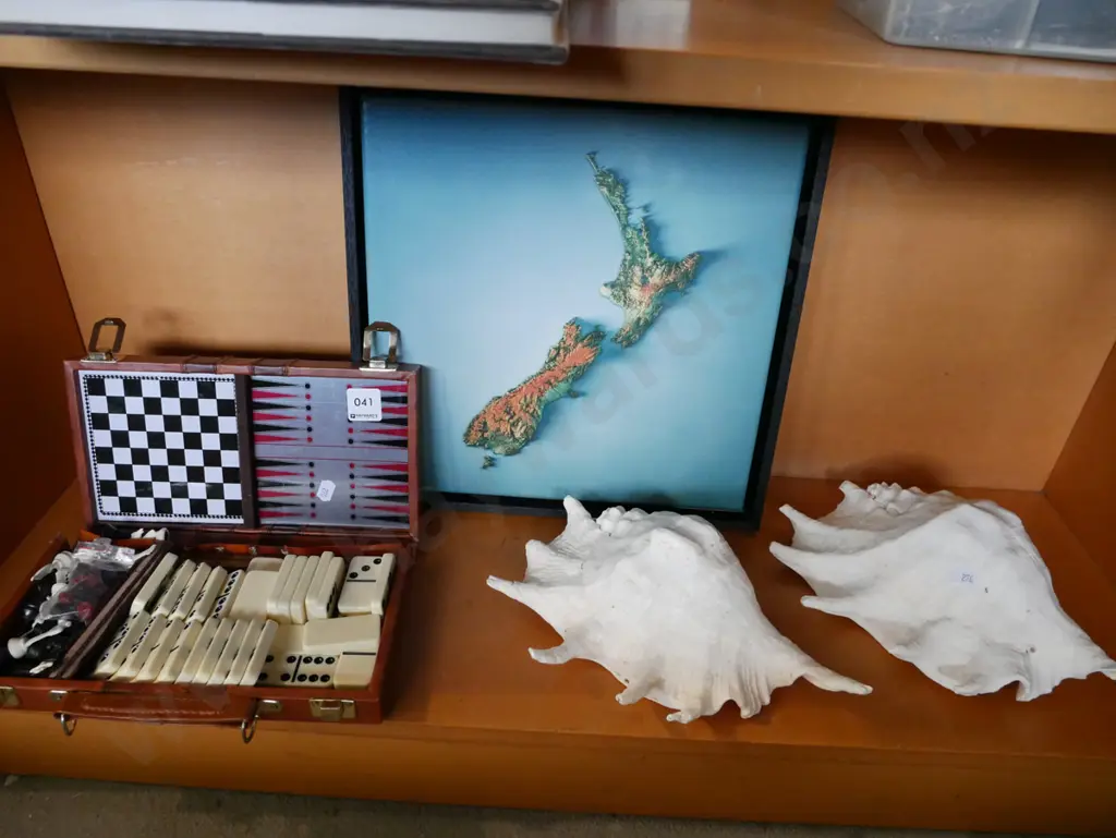 small games compendium, seashells, framed boxed canvas print of NZ Image 1++