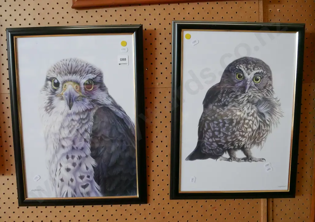 2x framed bird prints - yellow dots Image 1++