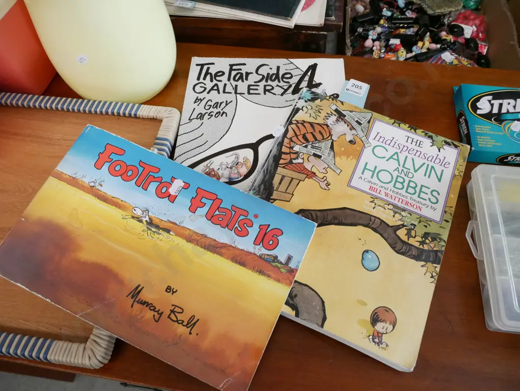 Kelvin Hobbs, Footrot Flats books Image 1++