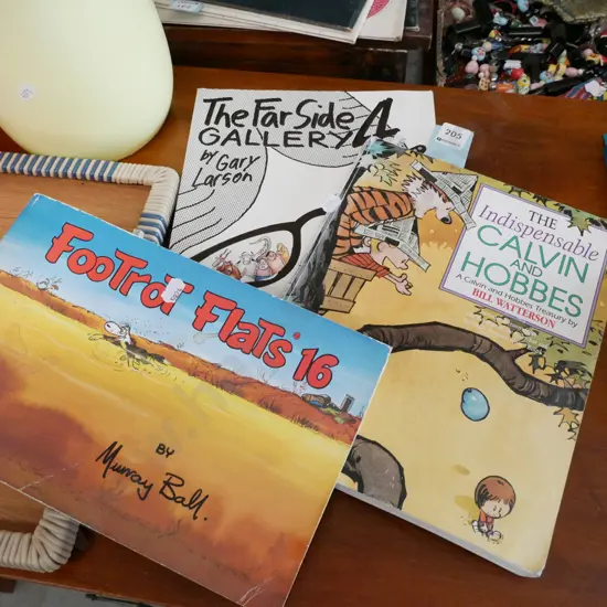 Kelvin Hobbs, Footrot Flats books