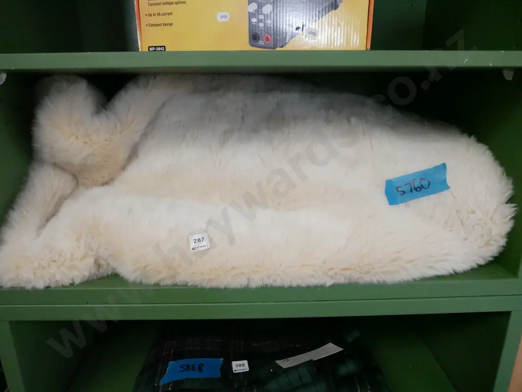 fluffy throw Image 1++