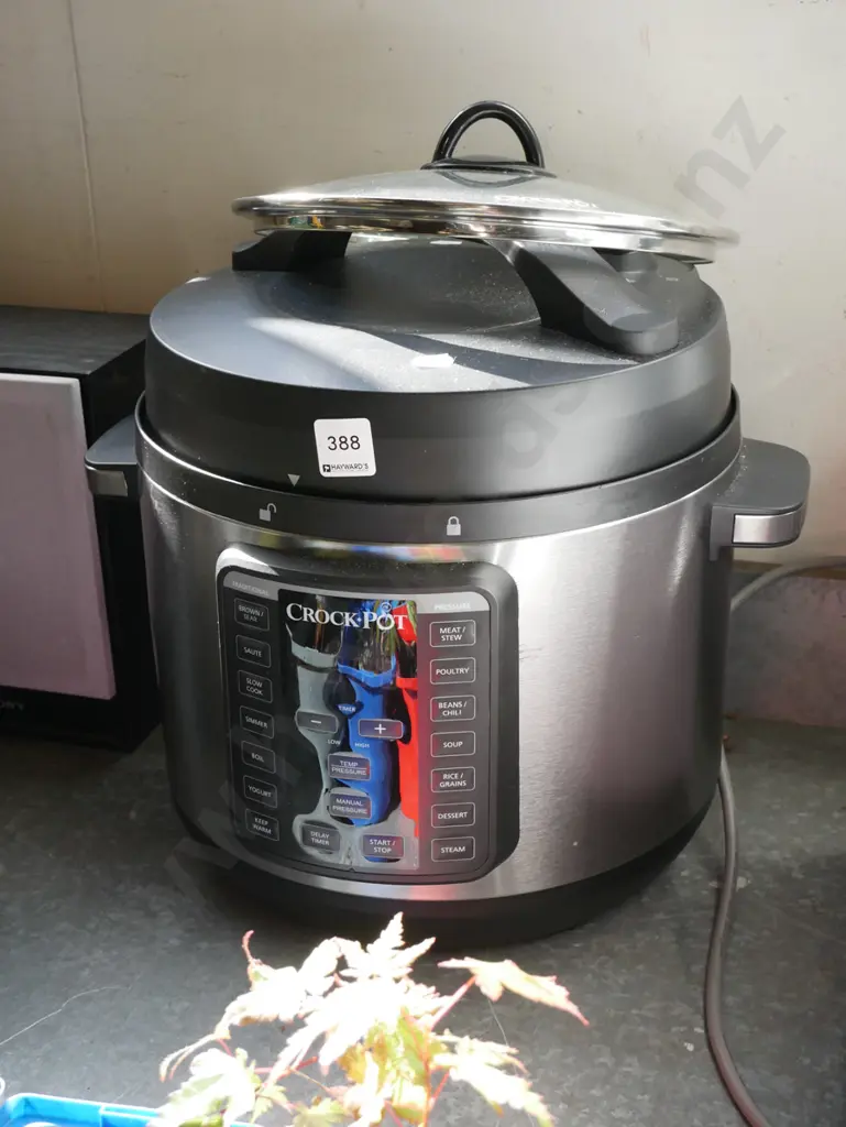 digital crock pot Image 1++