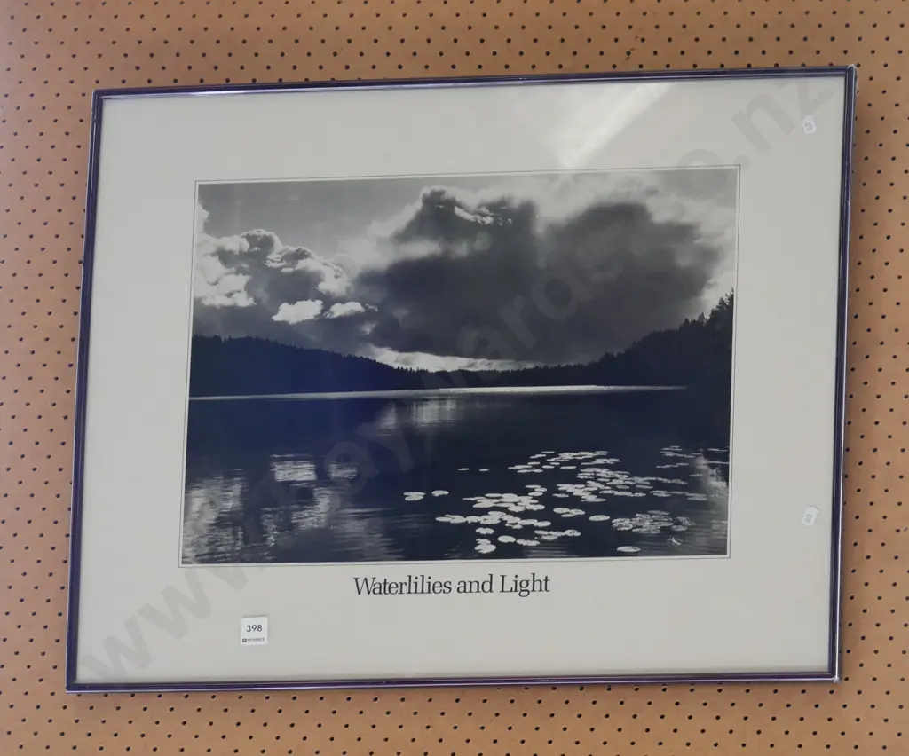 framed photo print - lillies and light Image 1++
