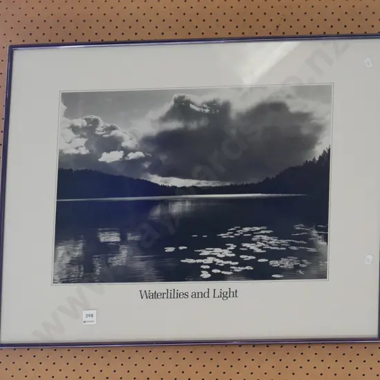 framed photo print - lillies and light