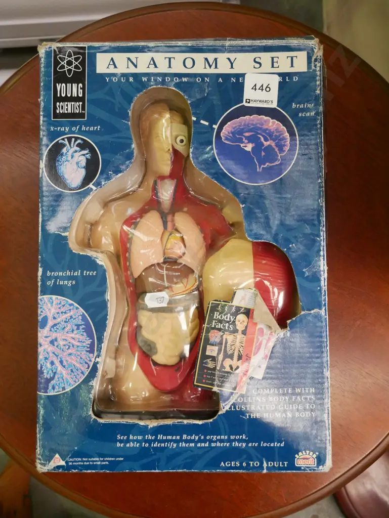 cased anatomy set (missing body facts pamphlet) Image 1++