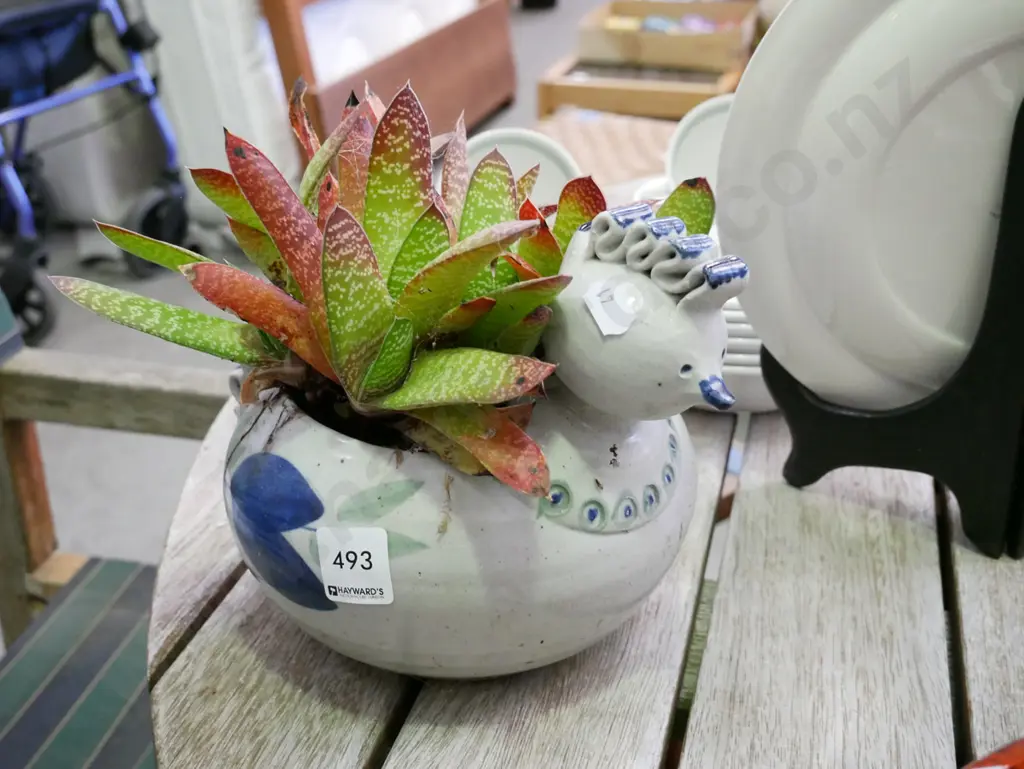 succulent in duck themed planter Image 1++