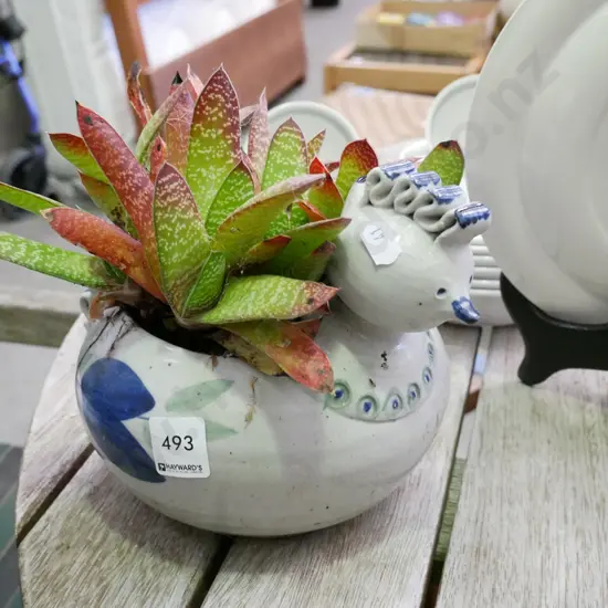 succulent in duck themed planter