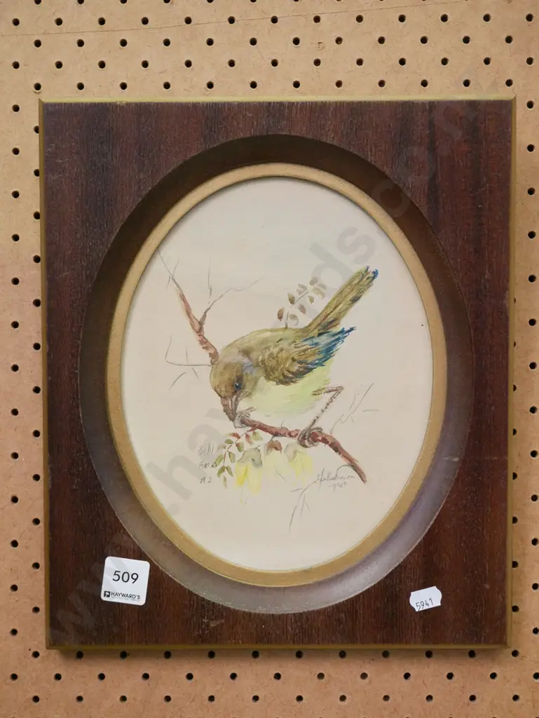 framed watercolour - bird on branch Image 1++